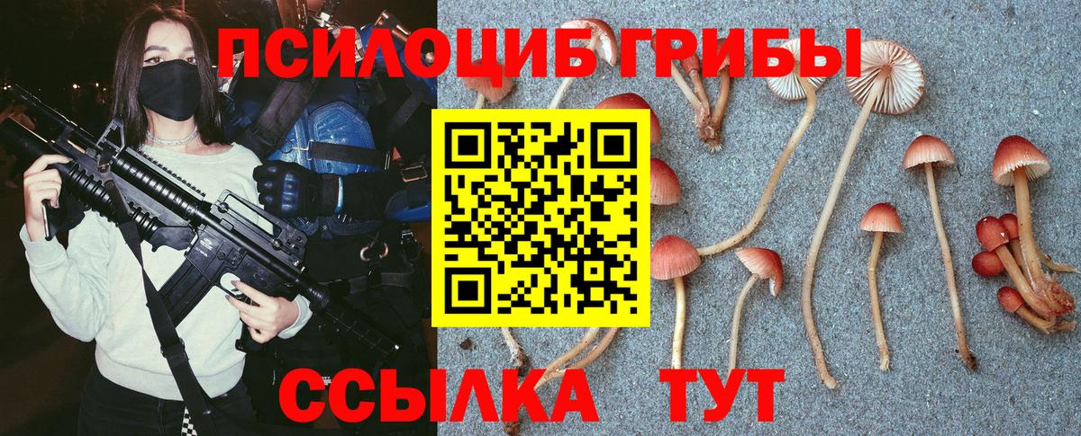 Псилоцибиновые грибы MAGIC MUSHROOMS Дербент