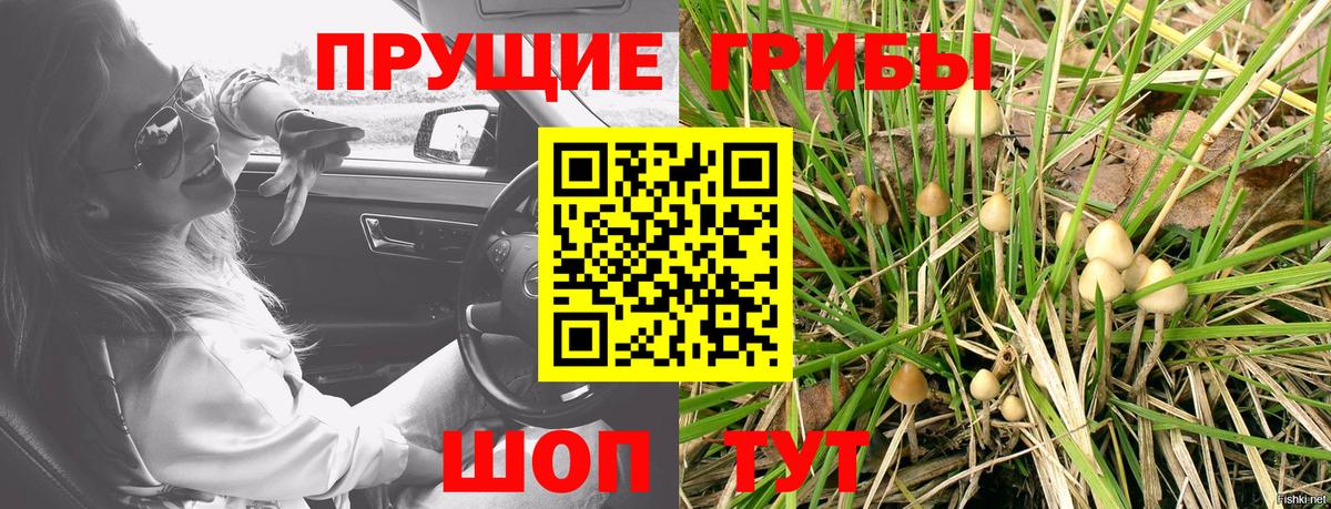 Галлюциногенные грибы прущие грибы  Вход с VPN  купить наркоту  Дербент 